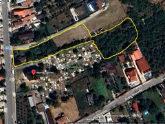 Domnesti, Biserica Catichea