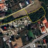 Domnesti, Biserica Catichea